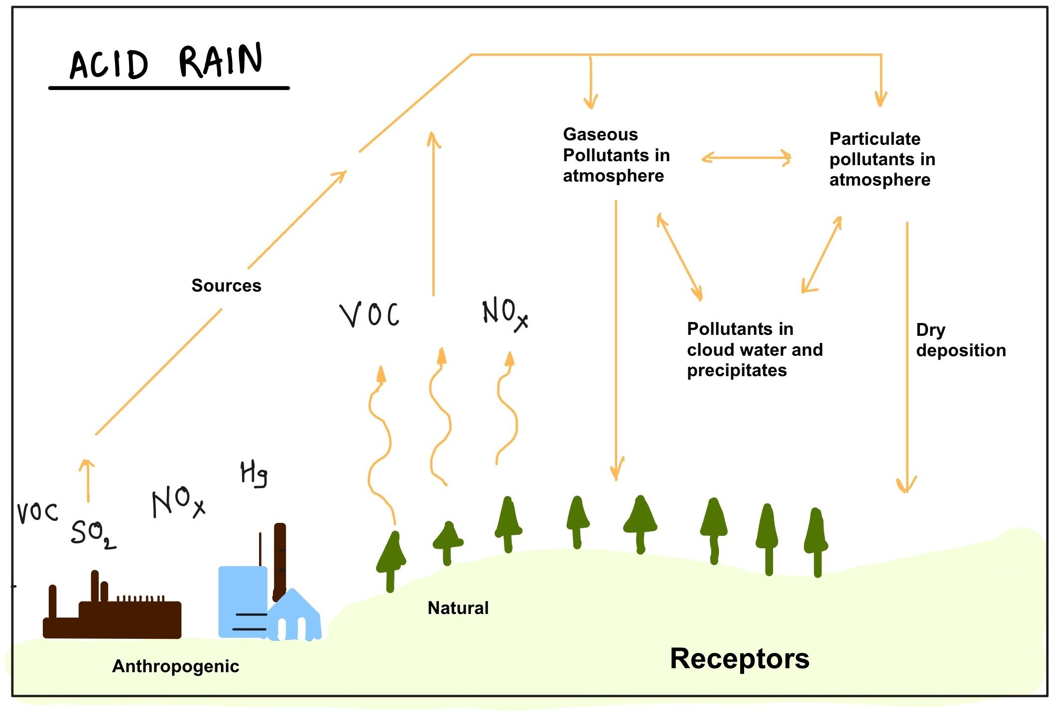 Acid Rain