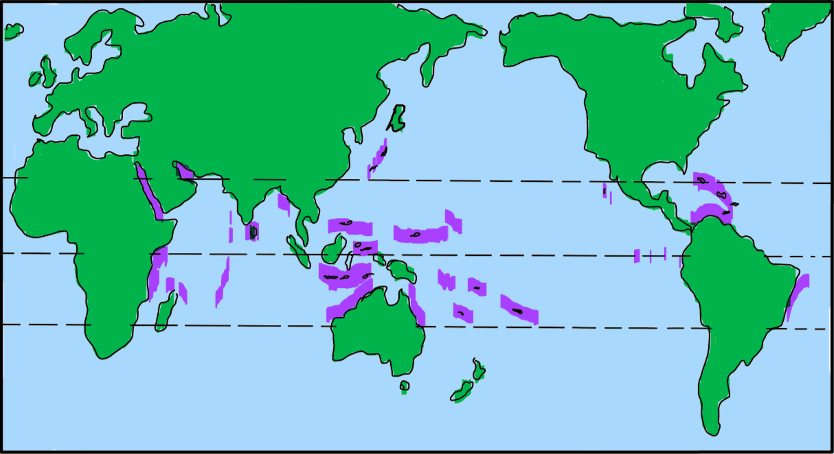 Coral distribution