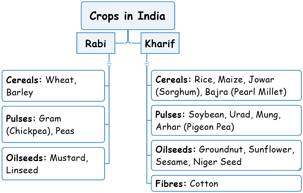 Crops in India
