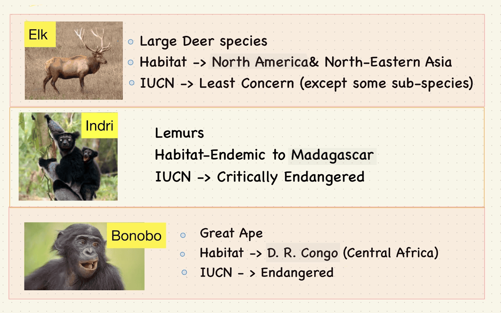 Indri - Bonobo- Elk