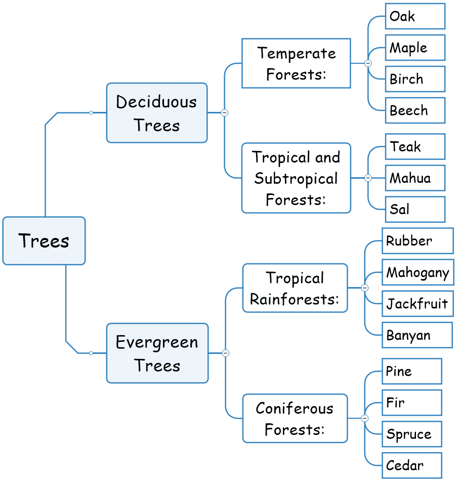 Type of trees