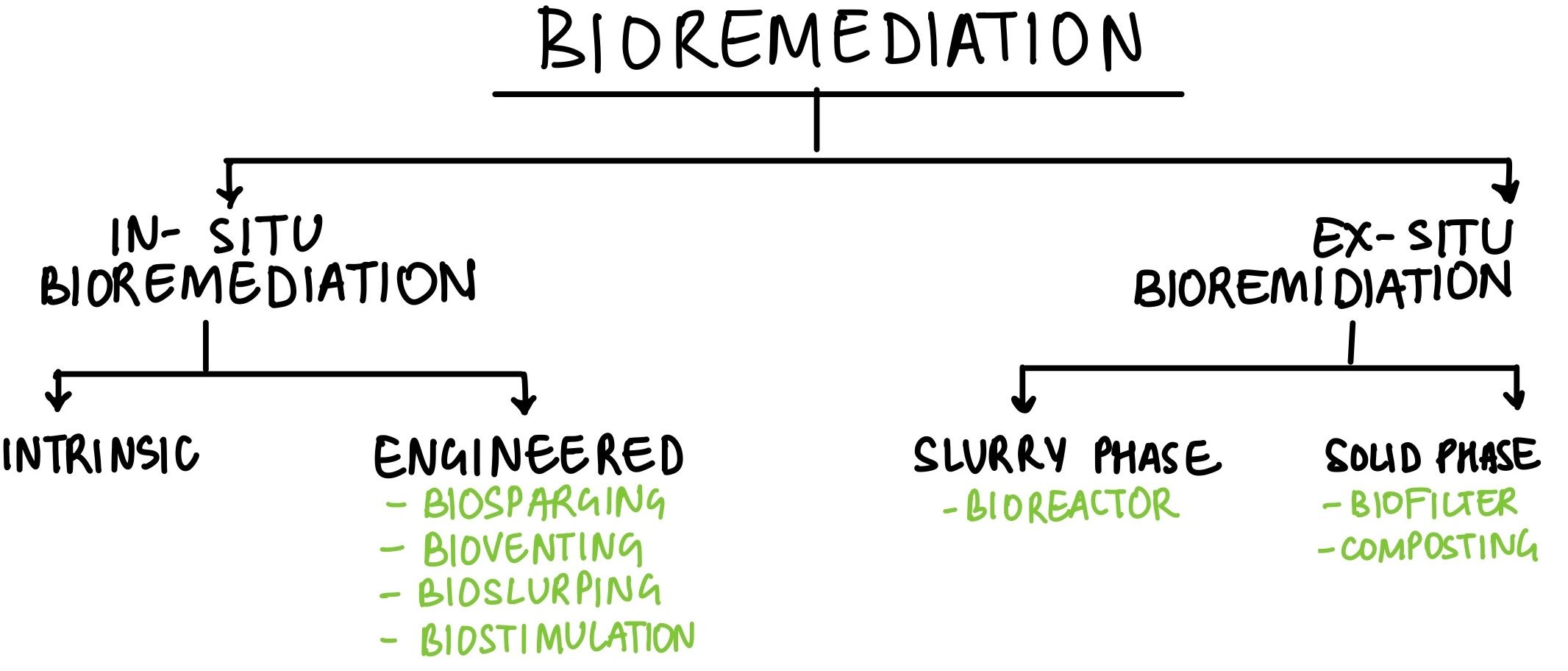Bioremediation