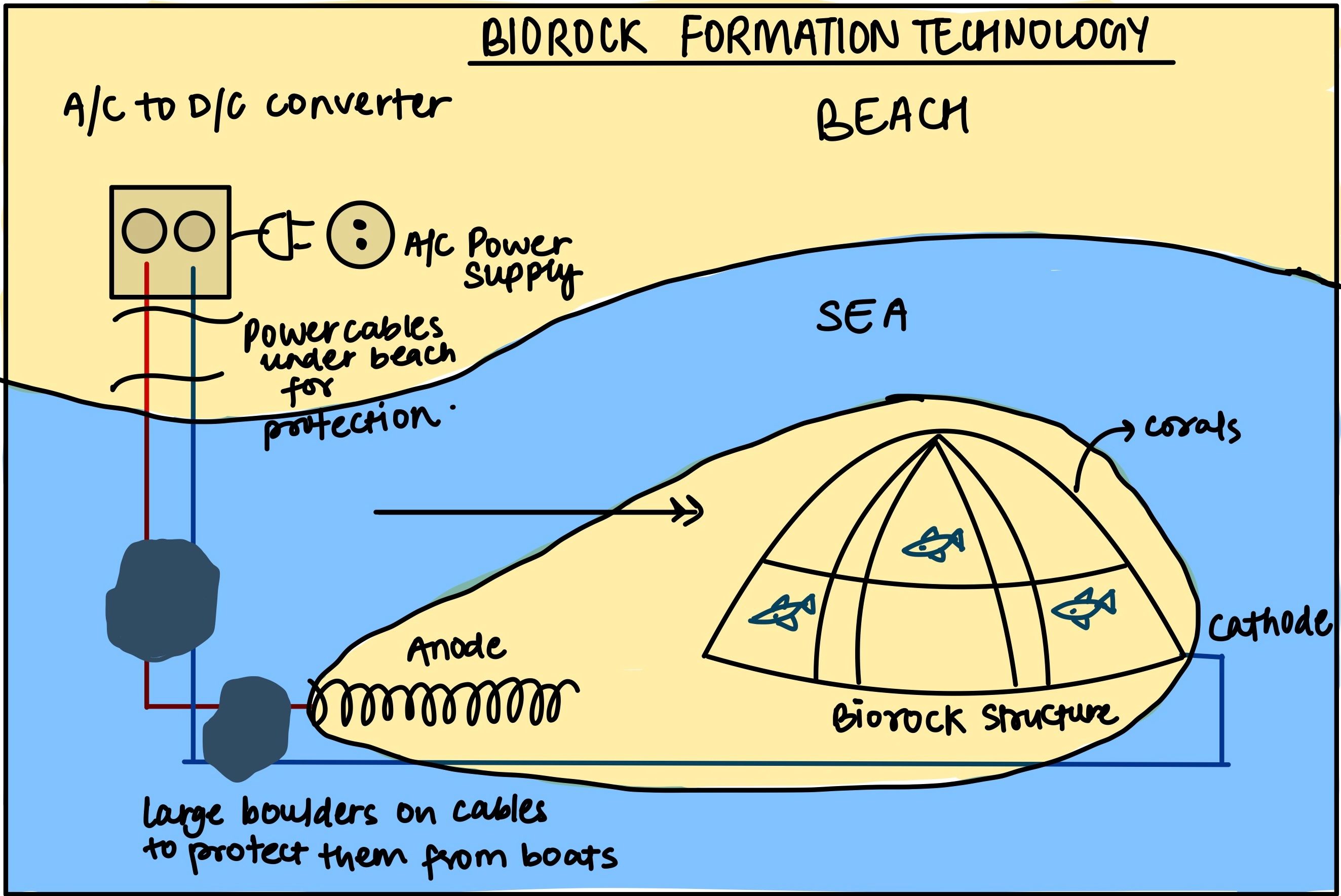 Biorock Formation