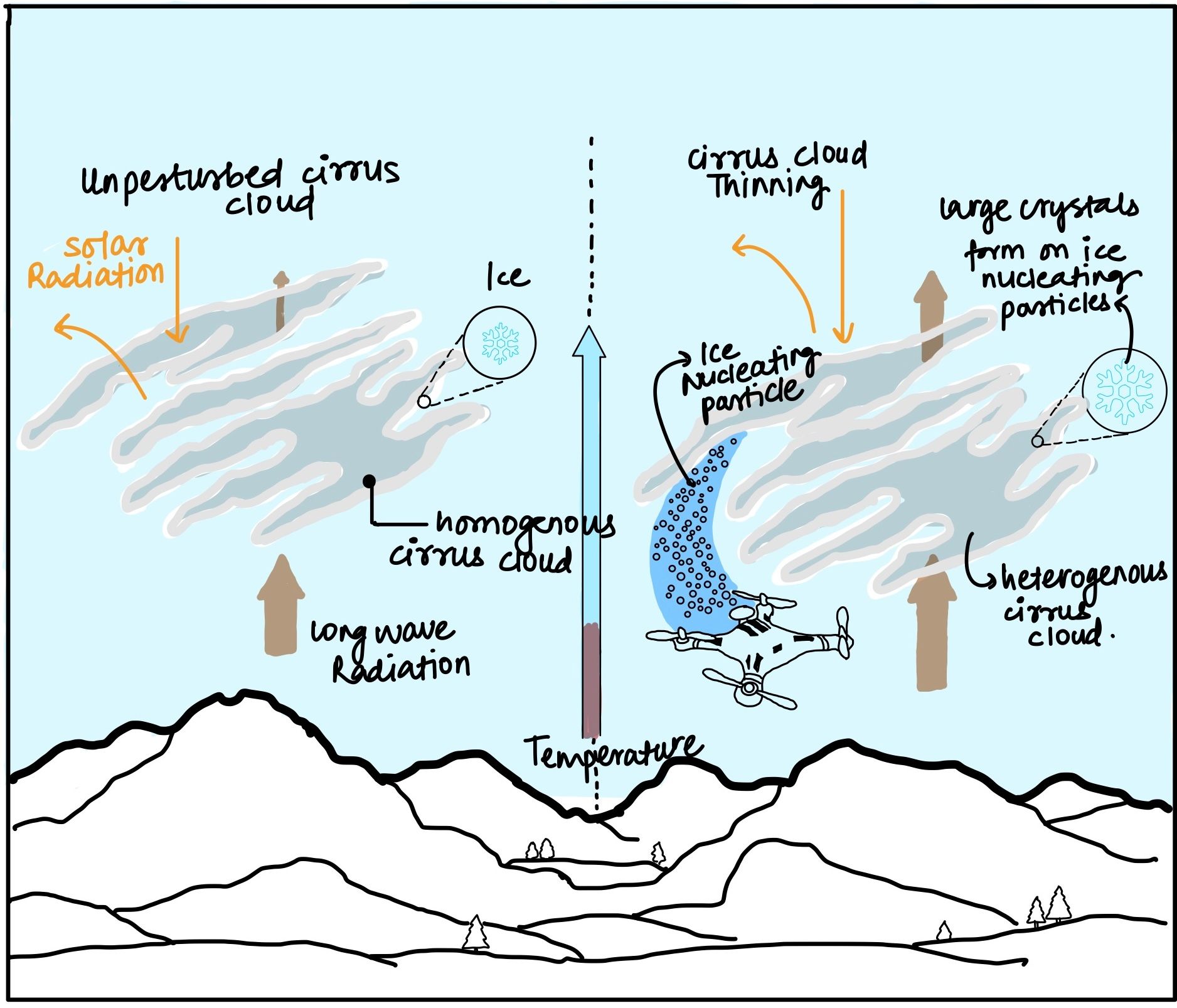 Cirrus Cloud Thinning