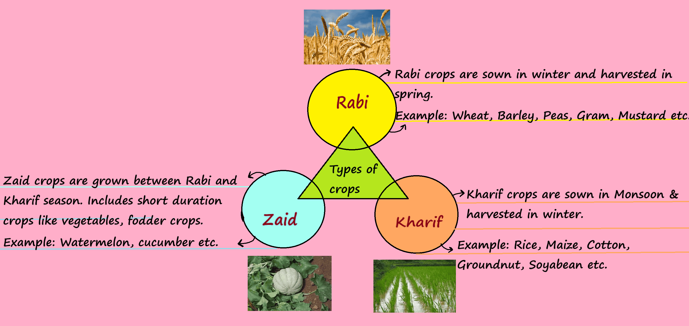 Crops