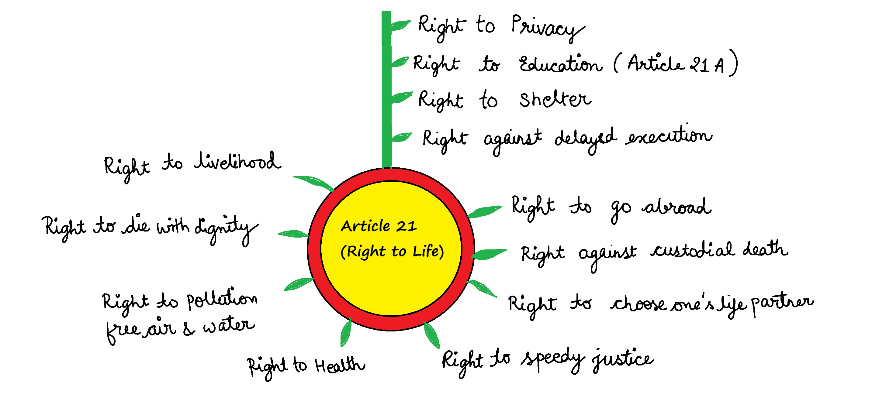 Right to Life