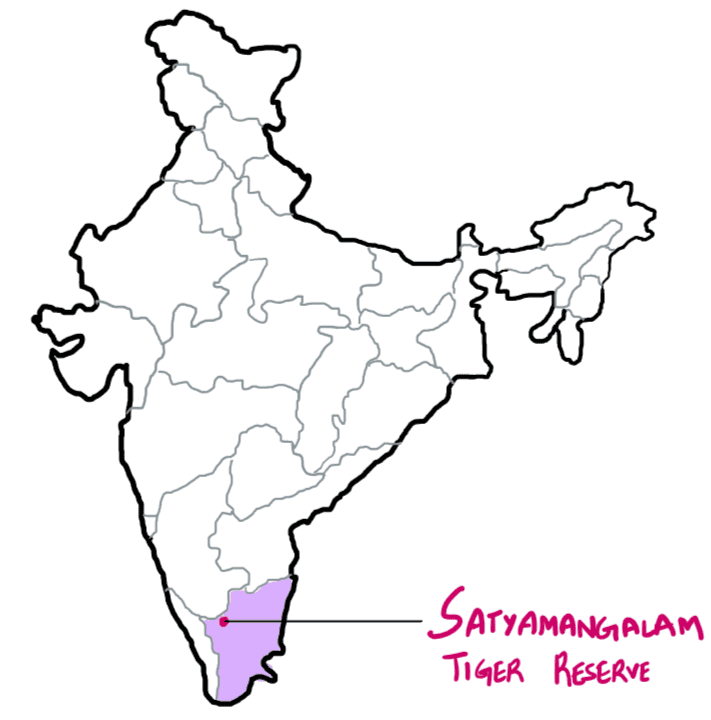 Satyamangalam Tiger Reserve